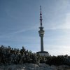 2019_10_31 (9)